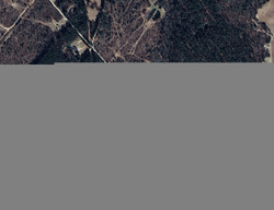 Pre-foreclosure Listing in ENLOW DR BATESBURG, SC 29006