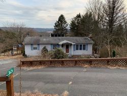 Pre-foreclosure in  ASHLEY CT Kunkletown, PA 18058