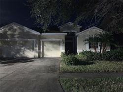 Pre-foreclosure Listing in BRIDGE PINE DR RIVERVIEW, FL 33569