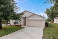 Pre-foreclosure Listing in CHINA BERRY CIR DAVENPORT, FL 33837