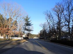 Pre-foreclosure in  COMMON ST Walpole, MA 02081