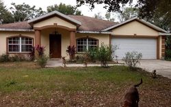 Pre-foreclosure Listing in W JOSEPHINE RD LAKE PLACID, FL 33852