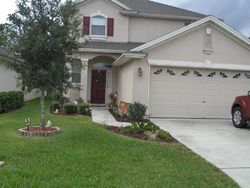 Pre-foreclosure Listing in PEBBLE BROOKE CIR ORANGE PARK, FL 32065