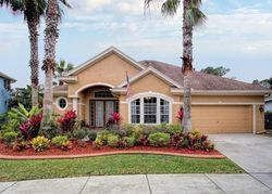 Pre-foreclosure in  GREENDALE DR Tampa, FL 33626