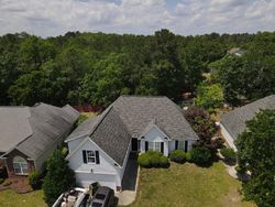 Pre-foreclosure Listing in APPLE BRANCH CT BLYTHEWOOD, SC 29016