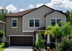 Shrewbury Pl, Land O Lakes FL