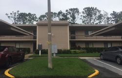 Pre-foreclosure Listing in MARY DR OLDSMAR, FL 34677