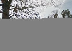 Pre-foreclosure in  CRATER RD Marion, SC 29571