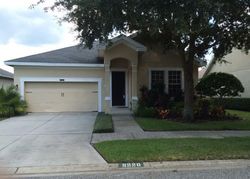 Pre-foreclosure in  LAGERFELD DR Land O Lakes, FL 34637