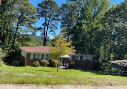 Pre-foreclosure in  TANGLEWOOD CIR Birmingham, AL 35215