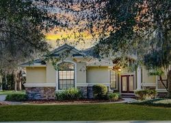Pre-foreclosure Listing in TERNGLADE DR LITHIA, FL 33547
