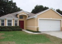  Dunnie Dr, Tampa FL