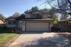 Pre-foreclosure in  CHESTNUT ST Windsor, CO 80550