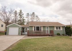 Pre-foreclosure Listing in MAPLE ST RED WING, MN 55066