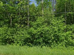  State Highway 11c, Brasher Falls NY