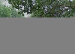 Pre-foreclosure in  FRAZIER ST Warsaw, IN 46580