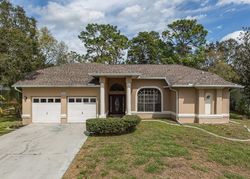 Pre-foreclosure in  PANTHER DR Spring Hill, FL 34607