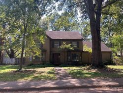 Pre-foreclosure in  W PECAN VALLEY ST Collierville, TN 38017