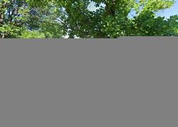 Pre-foreclosure in  E 241ST ST Euclid, OH 44123