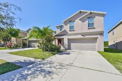 Pre-foreclosure Listing in TRENT CREEK DR SUN CITY CENTER, FL 33573