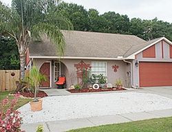 Pre-foreclosure in  HOLLOWELL DR Tampa, FL 33634