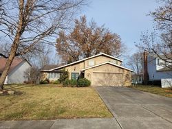Pre-foreclosure in  DEER PATH DR Strongsville, OH 44136