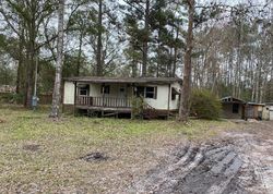 Pre-foreclosure in  NORTH FORK RD Green Cove Springs, FL 32043