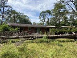 Pre-foreclosure Listing in S ELM ST JESUP, GA 31546