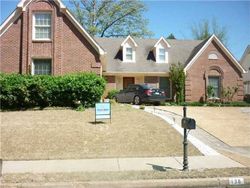 Pre-foreclosure in  WALNUT RIDGE LN Cordova, TN 38018