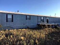 Pre-foreclosure in  JAVELINA DR Show Low, AZ 85901