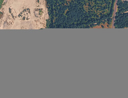 Pre-foreclosure in  ANGUS RD SE Tenino, WA 98589