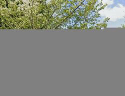 Pre-foreclosure in  CHARLIE ST NE Olympia, WA 98506