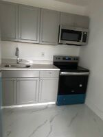 Pre-foreclosure in  NW 81ST ST Miami, FL 33147