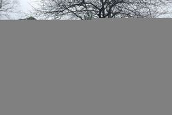 Pre-foreclosure in  BEECH ST SE Decatur, AL 35601