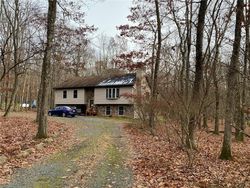 Pre-foreclosure in  WHITE BIRCH RD Lehighton, PA 18235