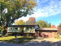 Pre-foreclosure Listing in BIRCHWOOD RD LITCHFIELD, IL 62056