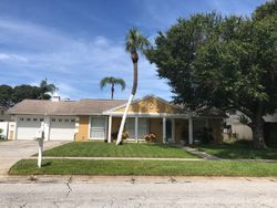 Pre-foreclosure in  NORTHBRIDGE BLVD Tampa, FL 33615