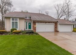 Pre-foreclosure Listing in LEDGE RD MACEDONIA, OH 44056