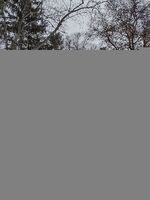 Pre-foreclosure in  BOULEVARD PL Eau Claire, WI 54703