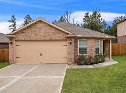 Pre-foreclosure in  BASE LIGHT DR Hockley, TX 77447