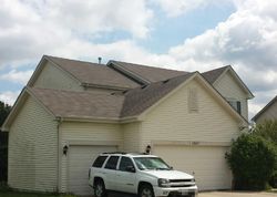 Pre-foreclosure in  S ELIZABETH LN Round Lake, IL 60073
