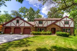 Pre-foreclosure in  DANUBE WAY Olympia Fields, IL 60461