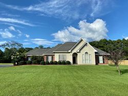 Pre-foreclosure in  SHORE CREST CIR Carriere, MS 39426