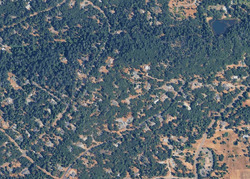 Pre-foreclosure in  CRESTLINE DR Foresthill, CA 95631