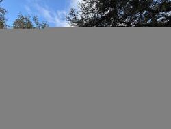 Pre-foreclosure in  SEMINOLE DR De Leon Springs, FL 32130