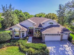  Johnathon Ave, Palm Harbor FL