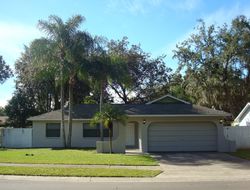 Pre-foreclosure in  PLANTATION DR Holiday, FL 34690