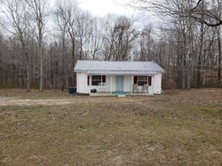 Pre-foreclosure Listing in PROMISE LAND RD CHARLOTTE, TN 37036