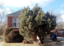 Pre-foreclosure in  S 1ST AVE Maywood, IL 60153