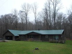 Pre-foreclosure Listing in BRAYSVILLE RD SPENCER, IN 47460